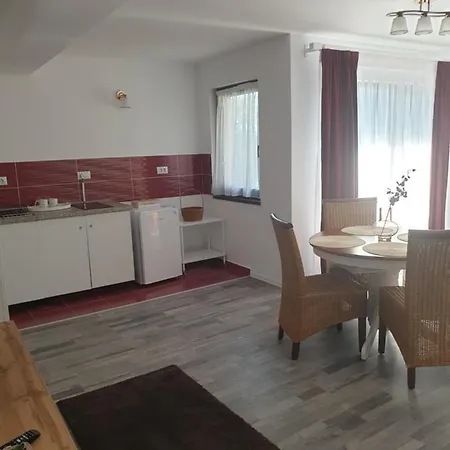 Casa Danei Pensjonat Braszów