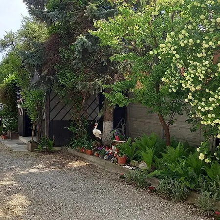 Penzion Casa Danei Brašov
