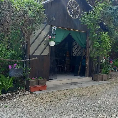 Penzion Casa Danei Brašov