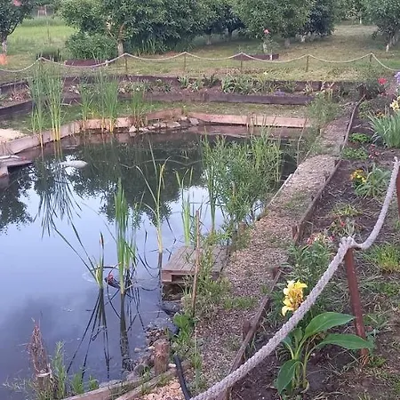 Casa Danei 3* 브라쇼브