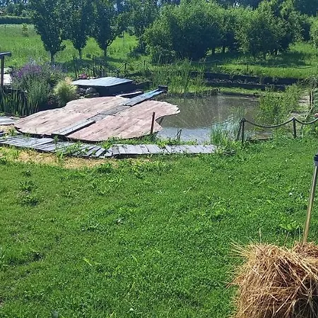 Pensjonat Casa Danei