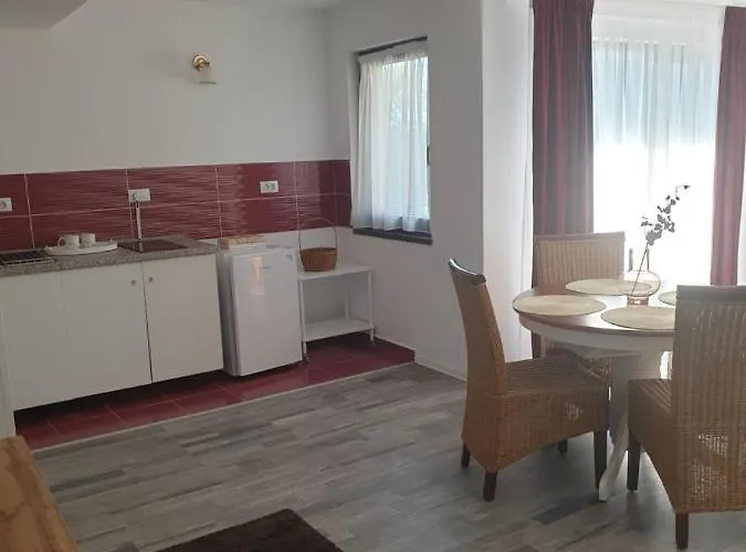 Casa Danei Guest house Brasov