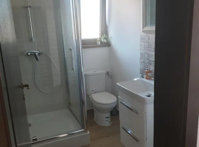 Guest house Casa Danei Brasov