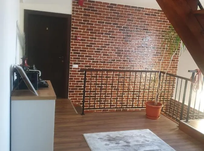 Casa Danei Guest house Brasov