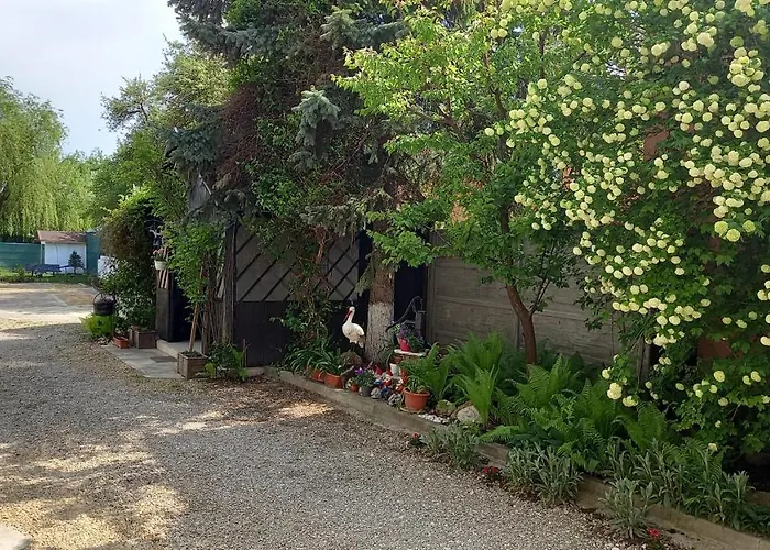 Guest house Casa Danei Brasov