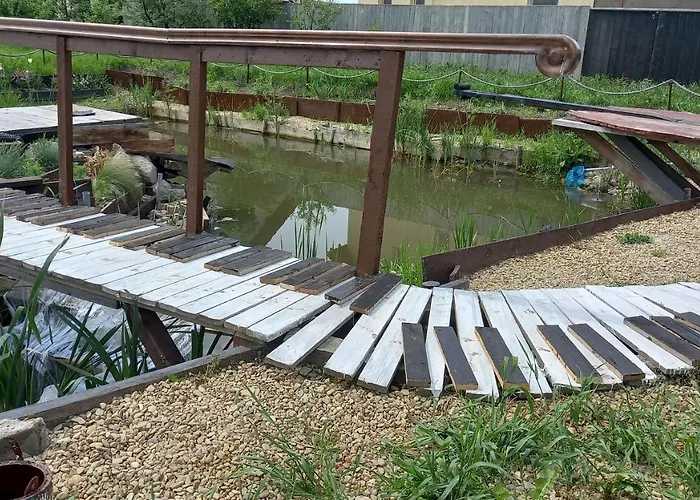 Casa Danei Guest house Brasov