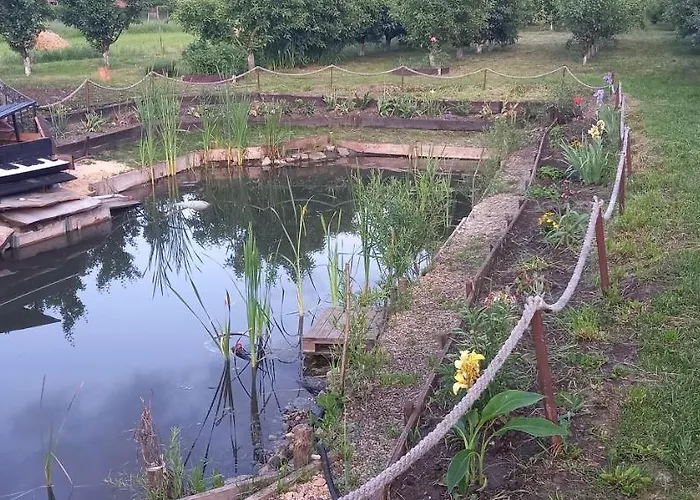 Casa Danei 3* Brasov